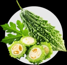 มะระขี้นก