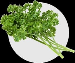 พาร์สลีย์